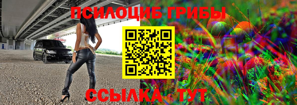 Галлюциногенные грибы Psilocybe  Вход с VPN  закладка  Киржач 